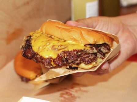 hamburger-project