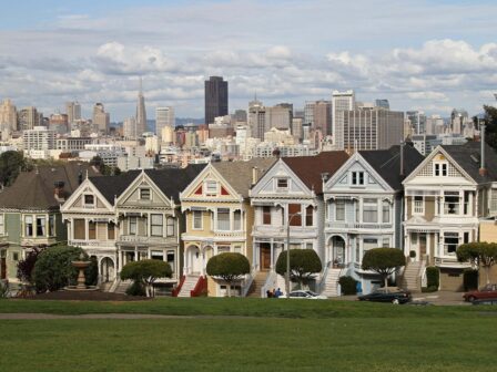 painted-ladies